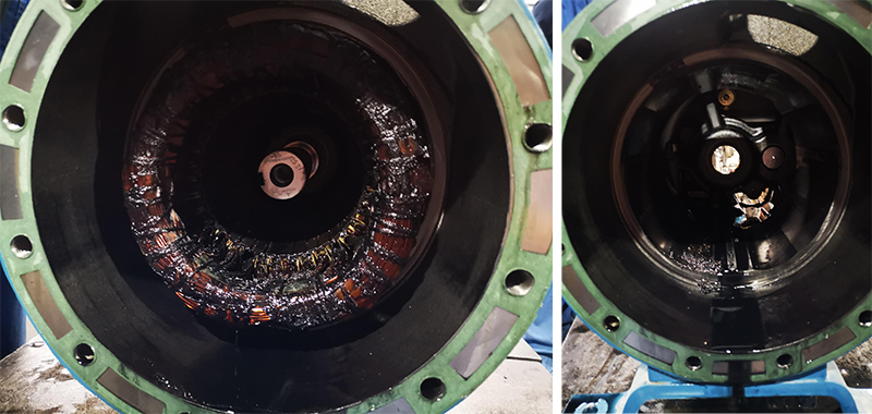 1633769763307962.jpg WZT5.jpg