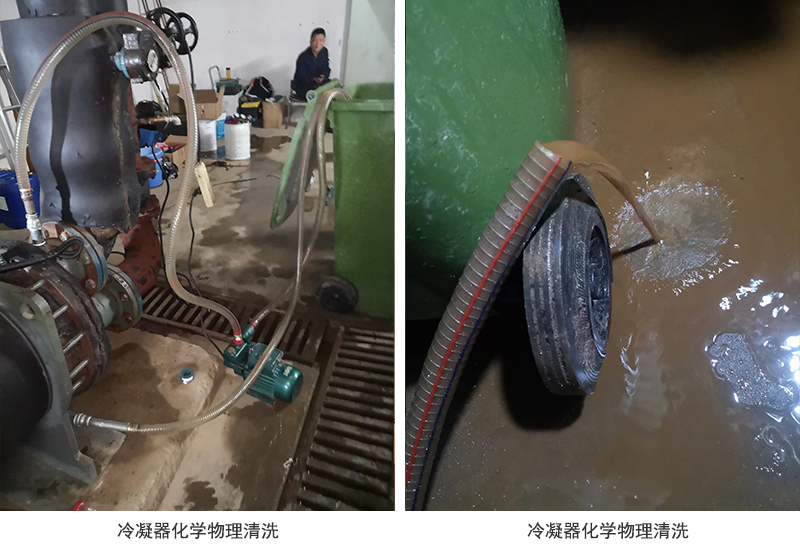 1642733401249339.jpg WZT26.jpg